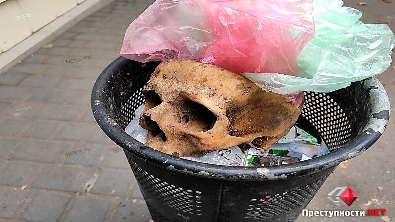 В урні для сміття знайшли череп людини