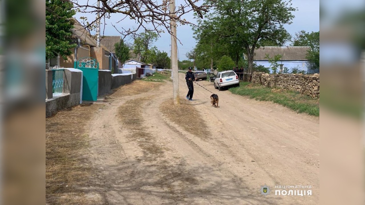 В одному з сіл Березнегуватського району вчинили подвійне вбивство