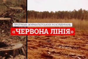 «Ліс за парканом» — нове розслідування проєкту «Червона лінія» на UA: МИКОЛАЇВ